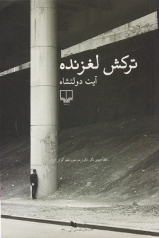 کتاب ترکش لغزنده | آیت دولتشاه