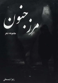 کتاب مرز جنون