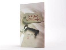 کتاب پسری که مرا دوست داشت - 2