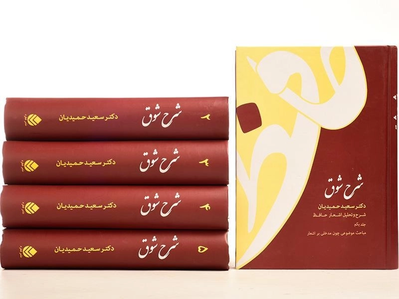 کتاب شرح شوق - سعید حمیدیان (5 جلدی) - 6