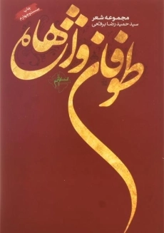 کتاب طوفان واژه ها | حمیدرضا برقعی