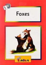کتاب داستان Foxes