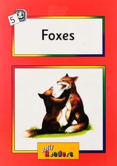 کتاب داستان Foxes