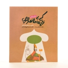 کتاب زیرکی های ملانصرالدین | قمشه ای - 2