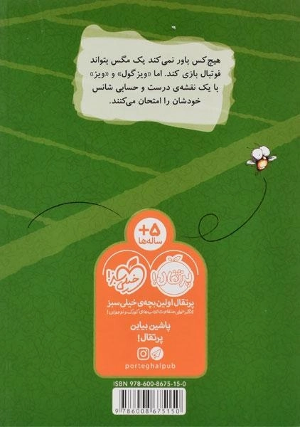 کتاب یک روز فوتبالی با ویزگول (مگسک و پسرک) - 1