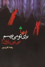 کتاب تنها برای تو می نویسم بی بی باران - یغما گلرویی