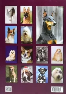 کتاب راهنمای کامل نگهداری و تربیت سگ - رفیعی - 1