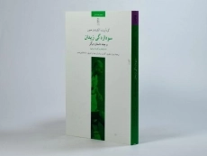 کتاب سودازدگی زیدان - آلکساندار همون - 2