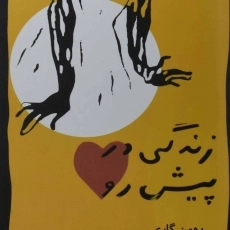 کتاب زندگی در پیش رو | رومن گاری