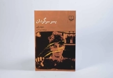 کتاب پسر سرگردان - دیوید پلزر - 2