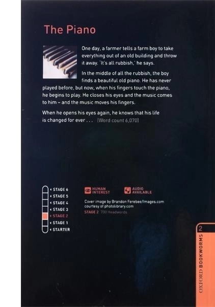 کتاب داستان The piano - 2