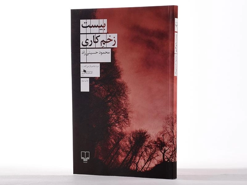 کتاب بیست زخم کاری | محمود حسینی‌زاد - 2