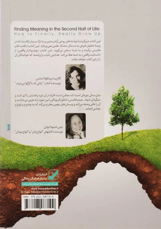 کتاب یافتن معنا در نیمه دوم عمر | جیمز هالیس - 2