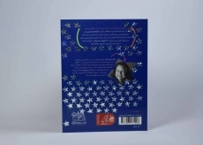 کتاب توفان و تاریکی ترسناک (جودی دمدمی و استینک 3) - 2