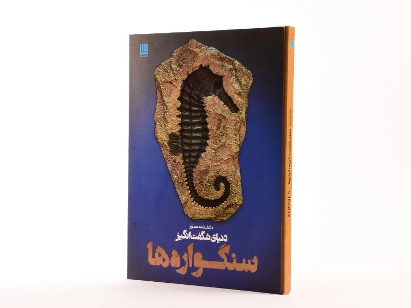 کتاب دانشنامه مصور دنیای شگفت انگیز سنگواره ها - 2