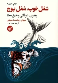 کتاب شغل خوب، شغل هیچ