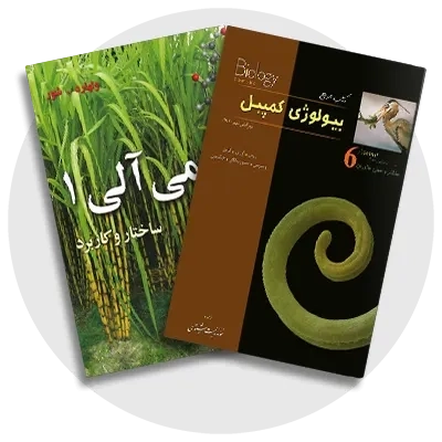 گروه علوم پایه