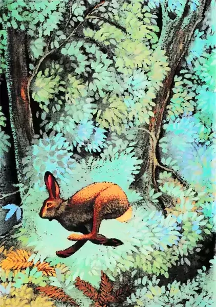 کتاب آخرین سفر خرس