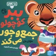 کتاب ببر کوچولو جمع و جور می کند (بچه باهوش 6)