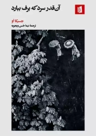 کتاب آن قدر سرد که برف ببارد