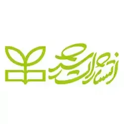 رشد