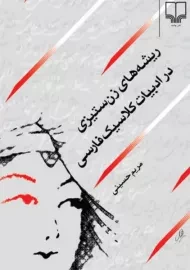 کتاب ریشه های زن ستیزی در ادبیات کلاسیک فارسی