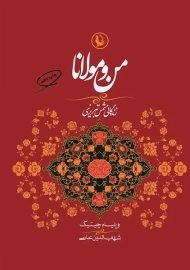 کتاب من و مولانا