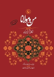 کتاب من و مولانا