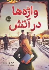 کتاب واژه ها در آتش