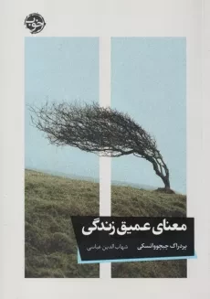 کتاب معنای عمیق زندگی