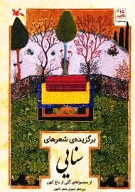 کتاب برگزیده ی شعرهای سنایی