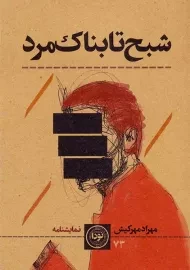 کتاب شبح تابناک‌مرد