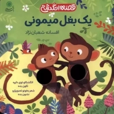 کتاب یک بغل میمونی