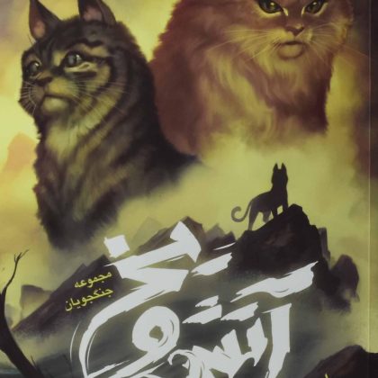 آتش و یخ ۲ مجموعه جنگجویان هانتر بلوری باژ۶